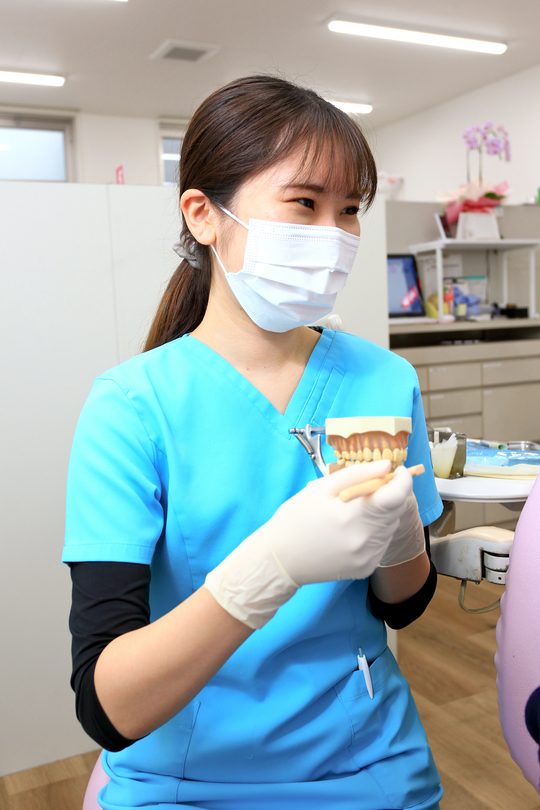 歯科 歯医者 歯科機器 スケーラー 歯科医師 歯科衛生士